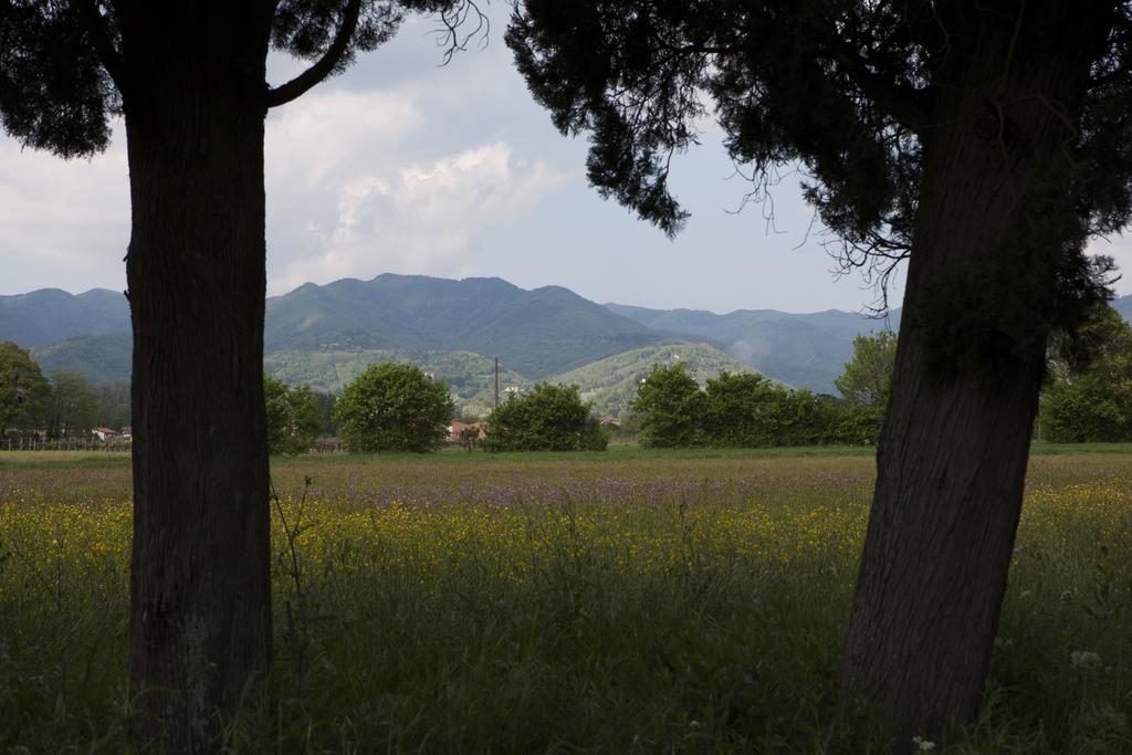 Agriturismo La Topaia Borgo San Lorenzo Eksteriør billede