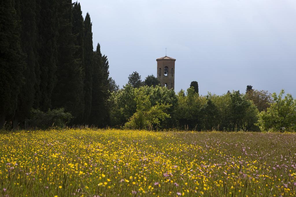 Agriturismo La Topaia Borgo San Lorenzo Eksteriør billede