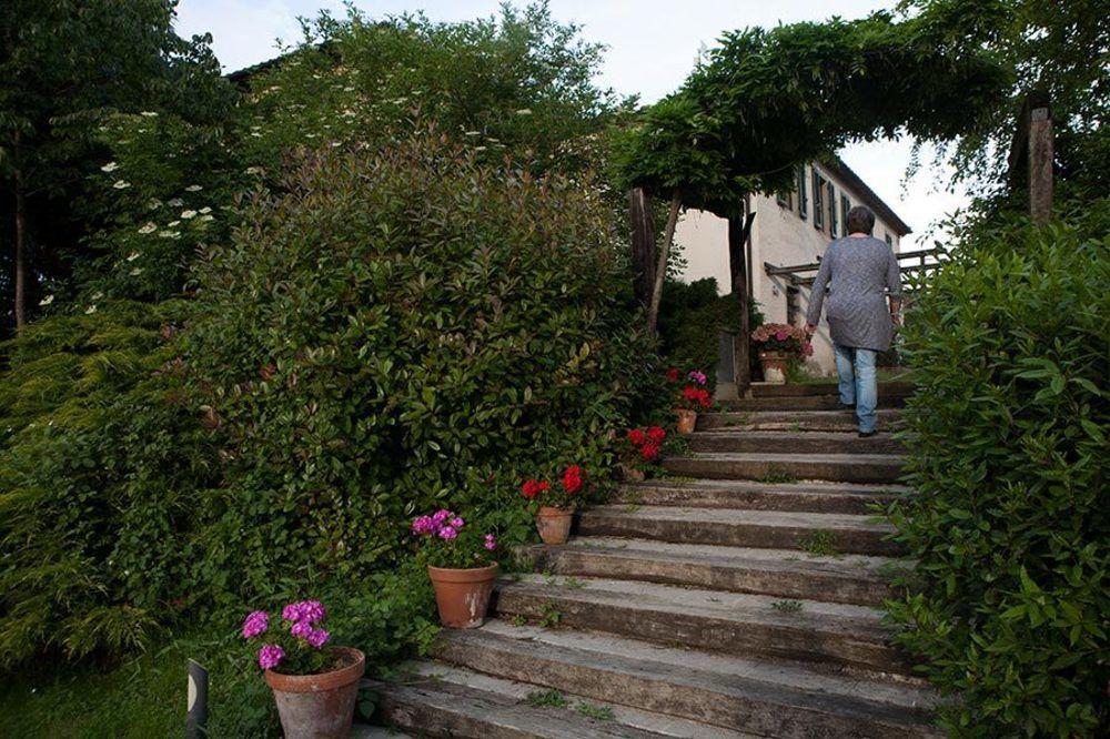 Agriturismo La Topaia Borgo San Lorenzo Eksteriør billede
