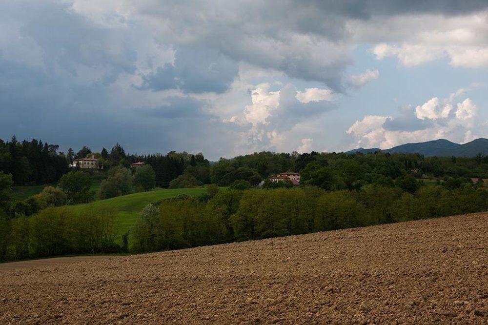Agriturismo La Topaia Borgo San Lorenzo Eksteriør billede
