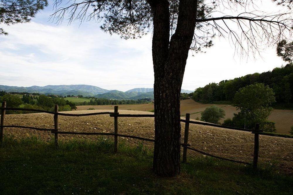 Agriturismo La Topaia Borgo San Lorenzo Eksteriør billede