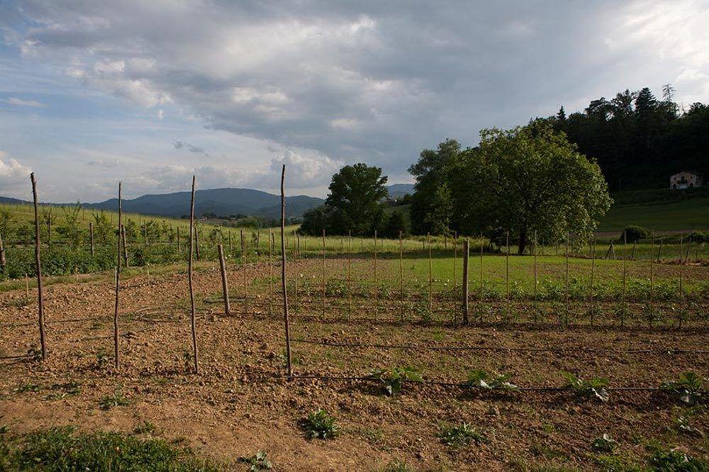 Agriturismo La Topaia Borgo San Lorenzo Eksteriør billede