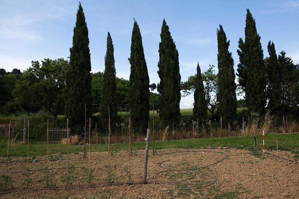 Agriturismo La Topaia Borgo San Lorenzo Eksteriør billede